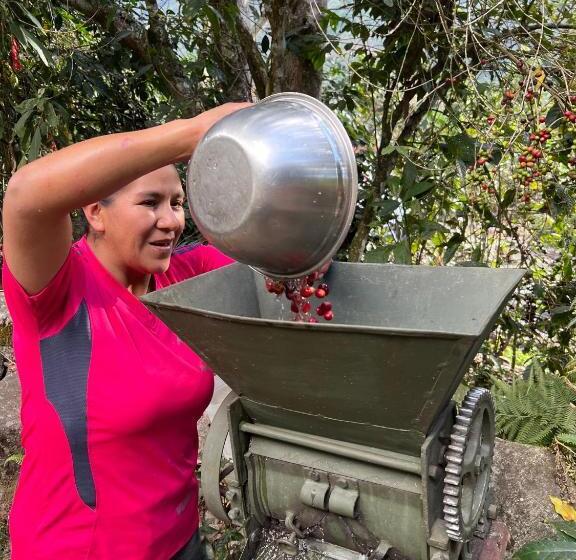 민박 Refugio De Mery Lucmabamba