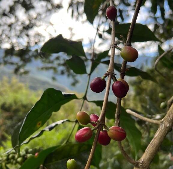 민박 Refugio De Mery Lucmabamba