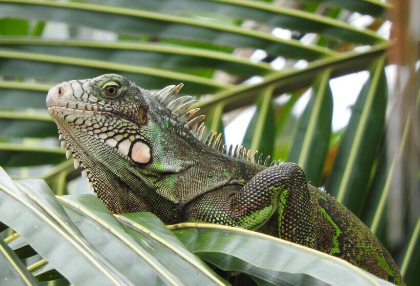 هتل Pousada Santa Aldeia