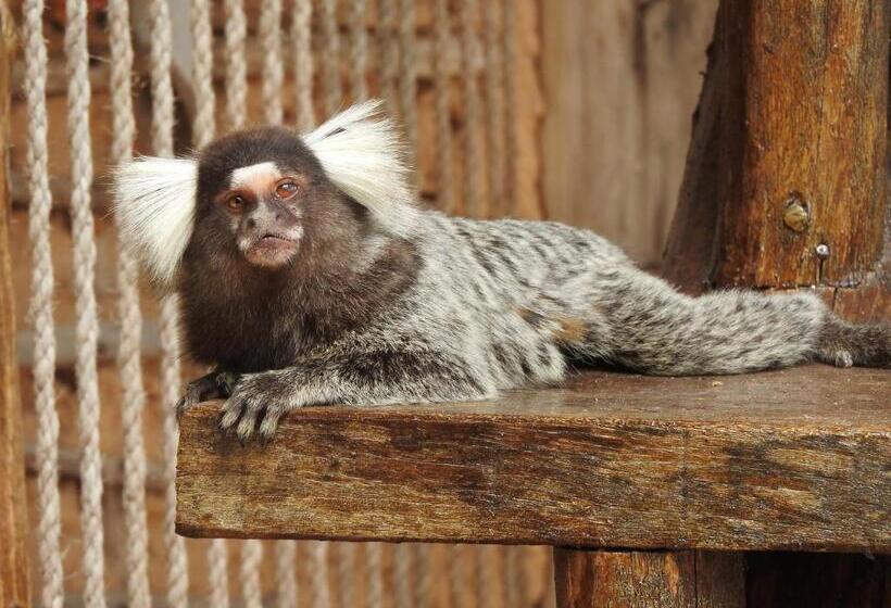 هتل Pousada Santa Aldeia