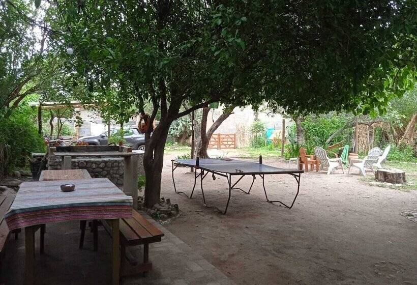 Jaracanda Hostel San Marcos