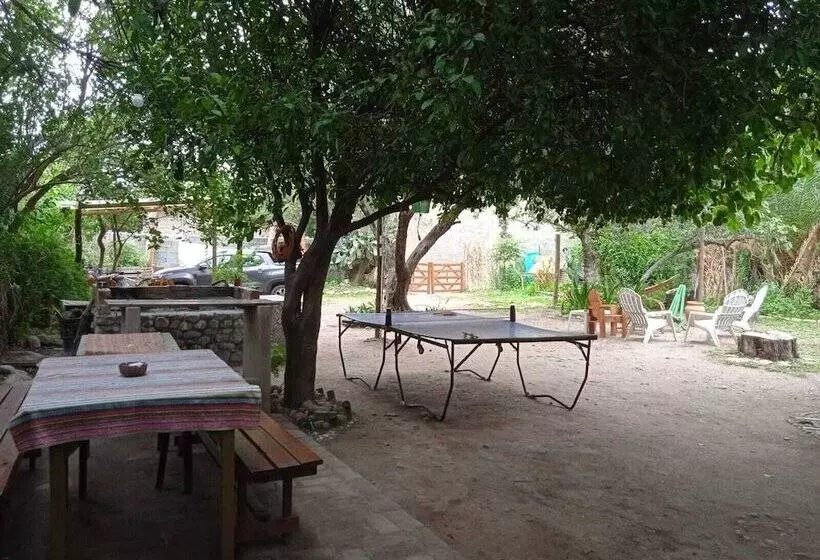 Jaracanda Hostel San Marcos