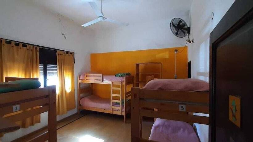 Jaracanda Hostel San Marcos