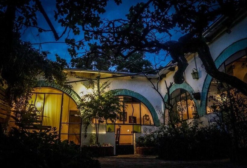 Jaracanda Hostel San Marcos