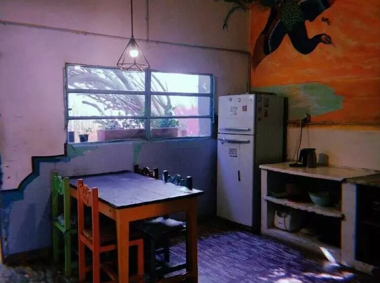 Jaracanda Hostel San Marcos