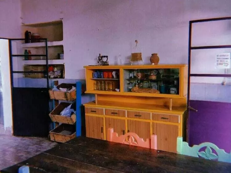 Jaracanda Hostel San Marcos