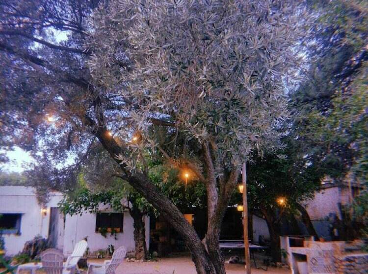 Jaracanda Hostel San Marcos