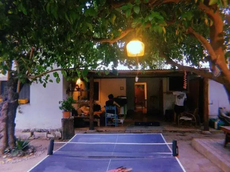 Jaracanda Hostel San Marcos