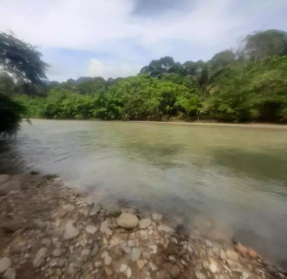ペンション Barus Jungle View