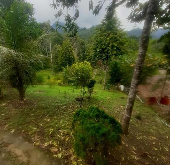 Пансион Barus Jungle View