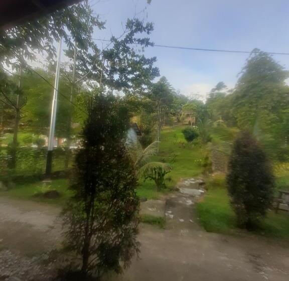 Пансион Barus Jungle View