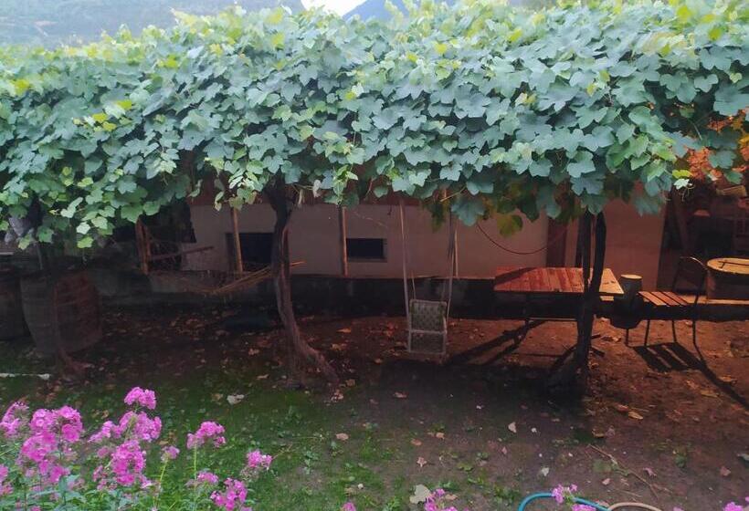 پانسیون Guest House Nene