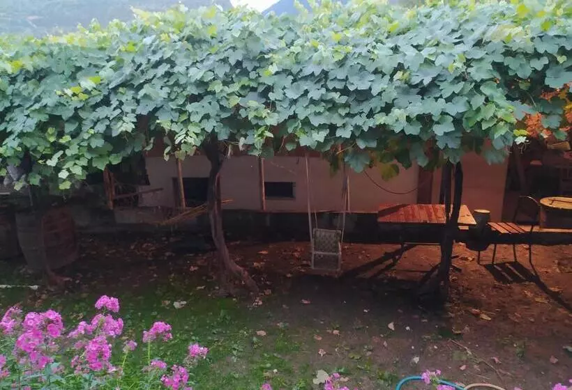 پانسیون Guest House Nene
