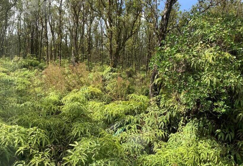 פנסיון Simple Rustic Studio Deluxe Bed In Tropical Fruits Garden