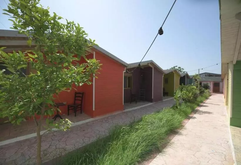 リゾートホテル Miqt Beach   Bungalows