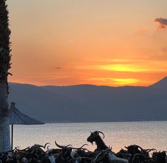 استراحتگاه Miqt Beach   Bungalows