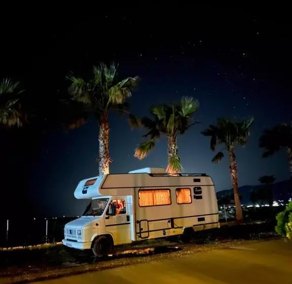 リゾートホテル Miqt Beach   Bungalows