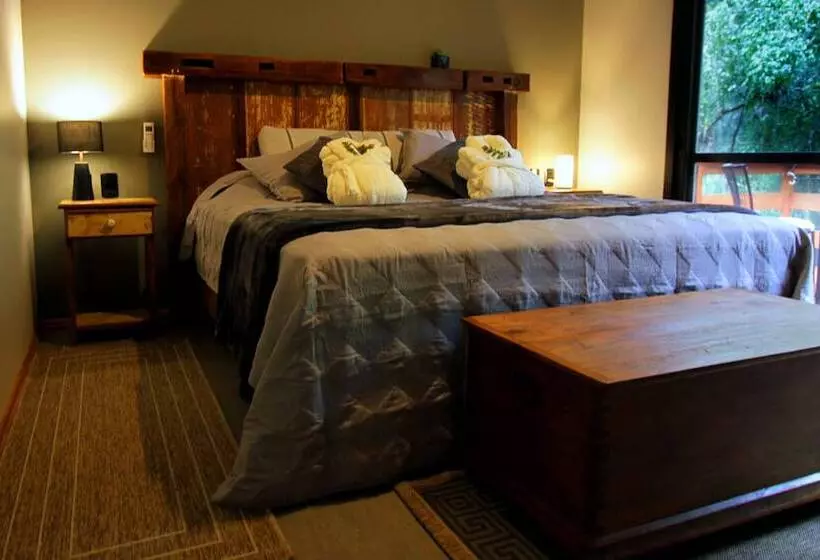 Hostelli Pousada Butique L Esperienza   Ecoturismo