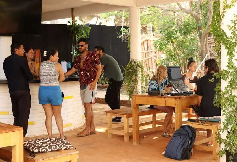 Hostal Maracuyá   Coworking Space