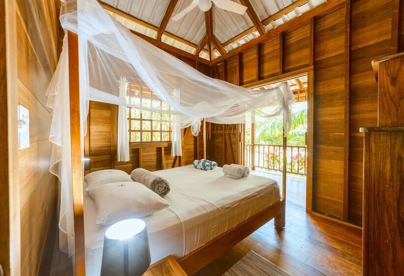 هتل Casa Viva Lodge