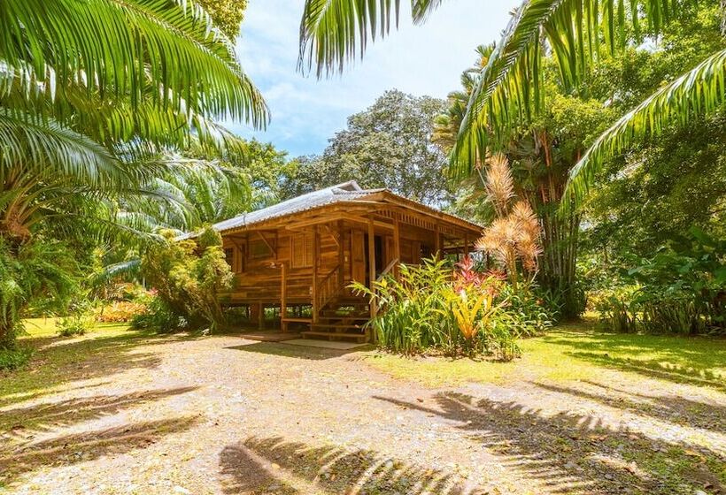 هتل Casa Viva Lodge