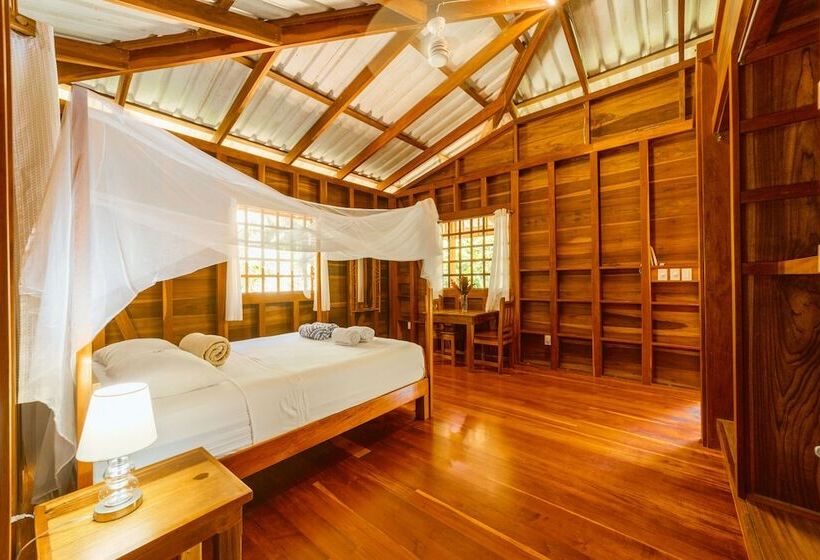 هتل Casa Viva Lodge