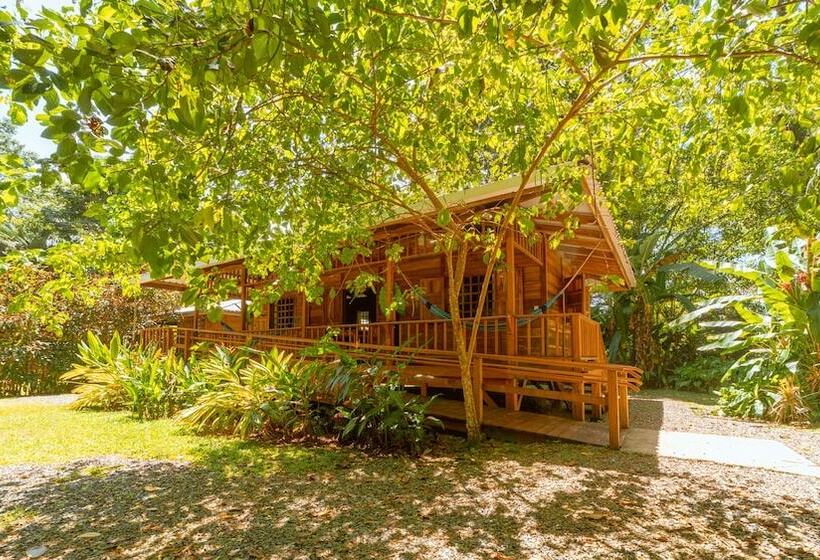 هتل Casa Viva Lodge