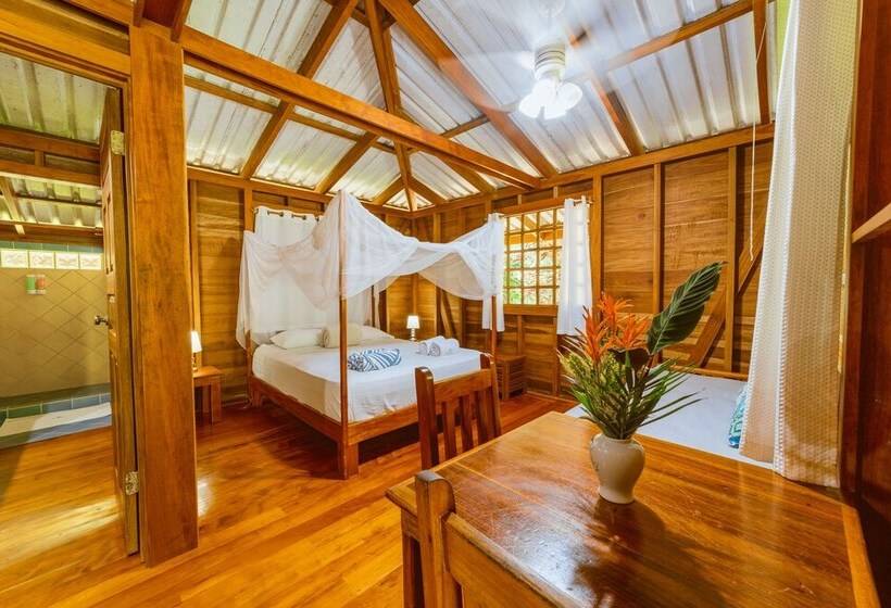 هتل Casa Viva Lodge