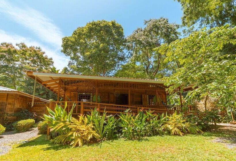 هتل Casa Viva Lodge