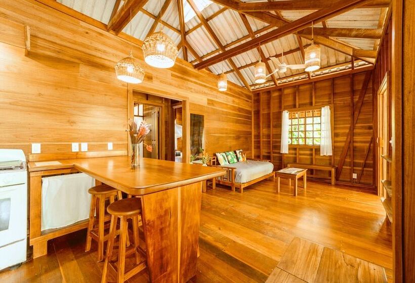 هتل Casa Viva Lodge