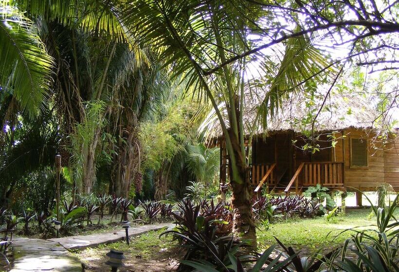 Hotel Cohune Palms River Cabanas