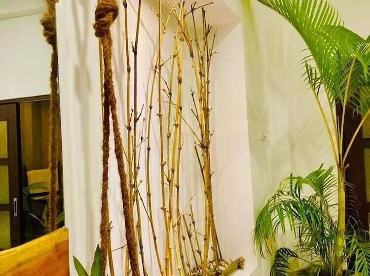 Hotelli The Jini House   Kabalana