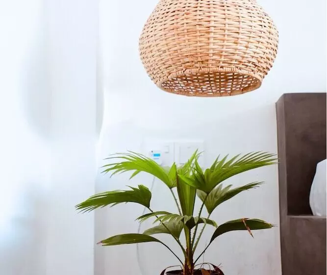 Hotelli The Jini House   Kabalana