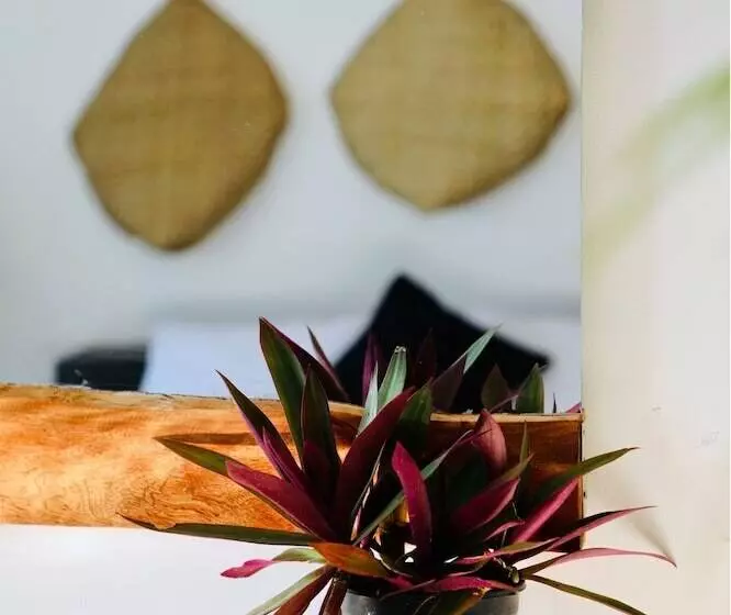 Hotelli The Jini House   Kabalana