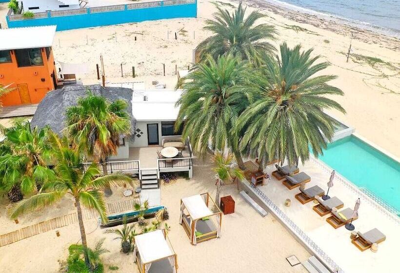 酒店 Ventana Windsports