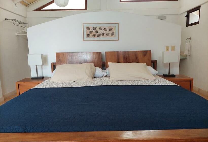 酒店 Ventana Windsports