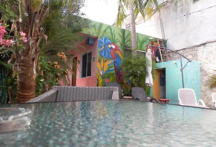 پانسیون Casona Del Negro Aguilar