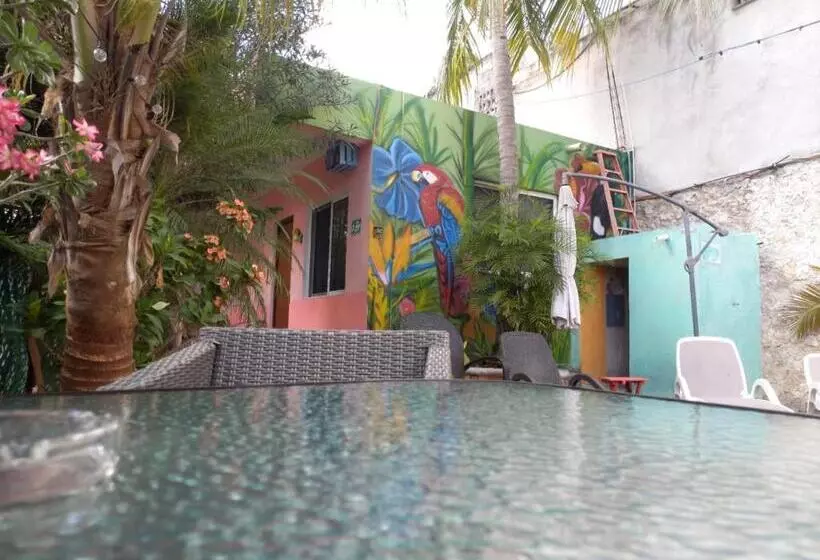 پانسیون Casona Del Negro Aguilar