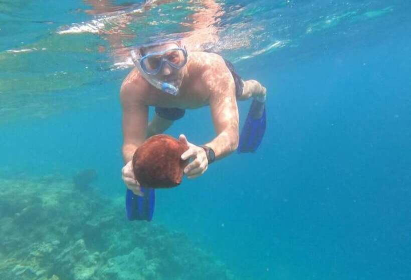 پانسیون Ninos