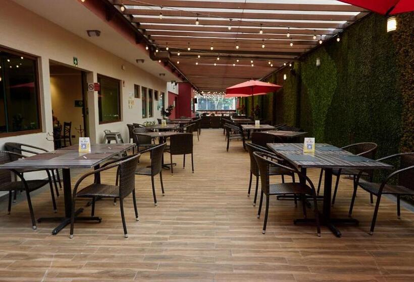 فندق صغير Comfort Inn Centro Historico