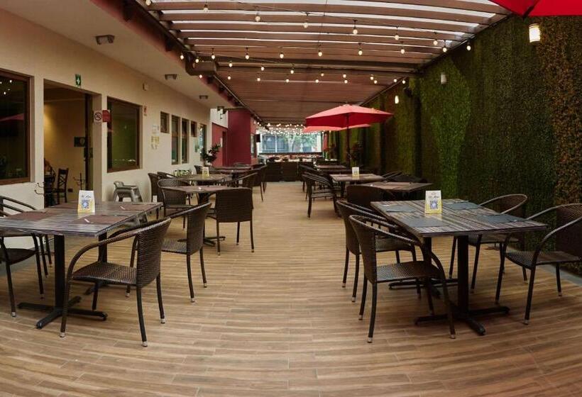 فندق صغير Comfort Inn Centro Historico