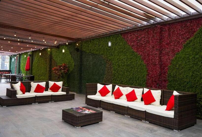 فندق صغير Comfort Inn Centro Historico