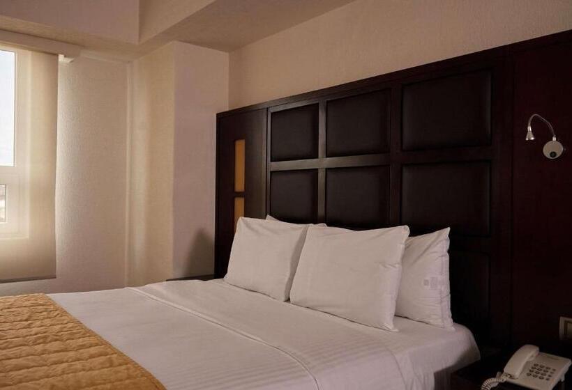 فندق صغير Comfort Inn Centro Historico