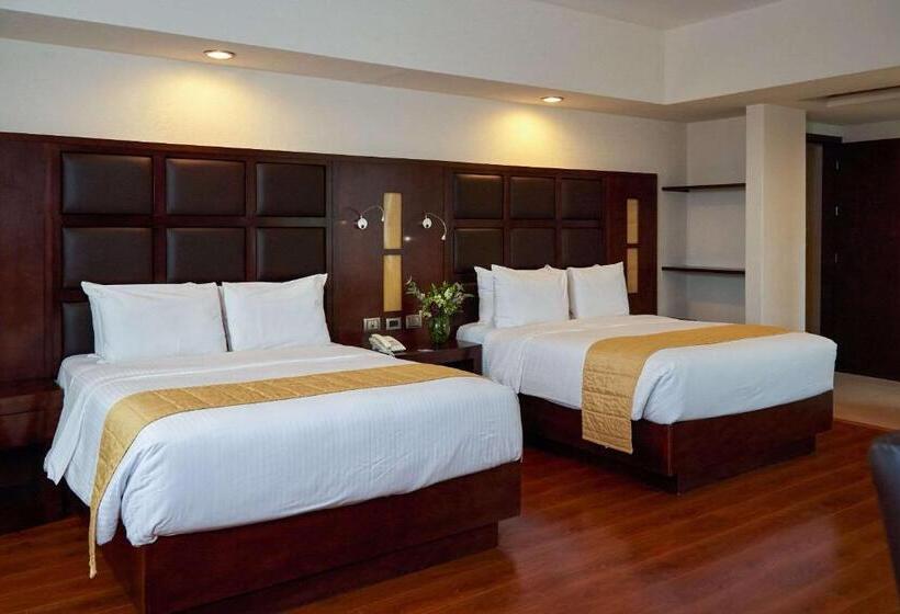 فندق صغير Comfort Inn Centro Historico