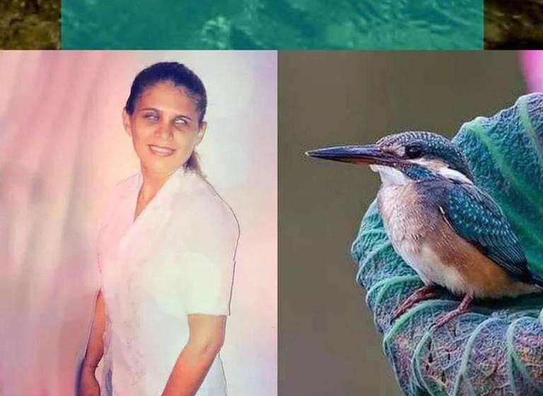 فندق صغير Pousada Brilho Da Lua