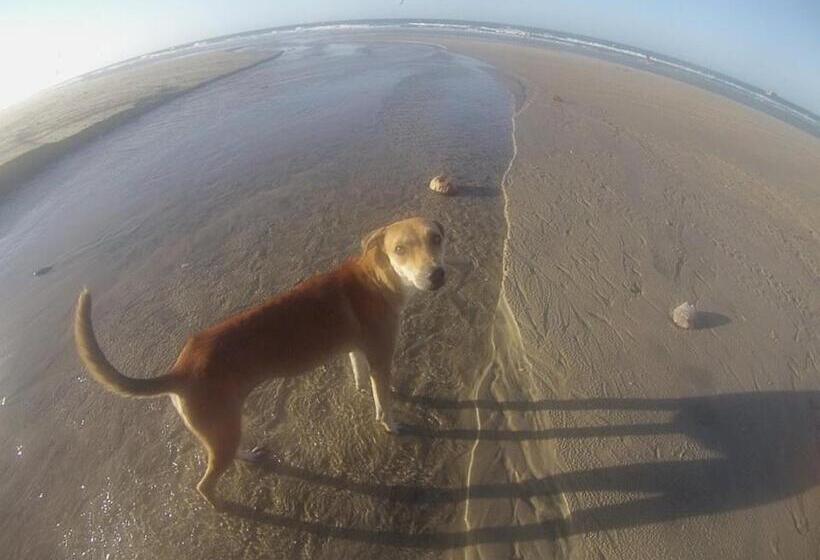 فندق صغير Pousada Brilho Da Lua