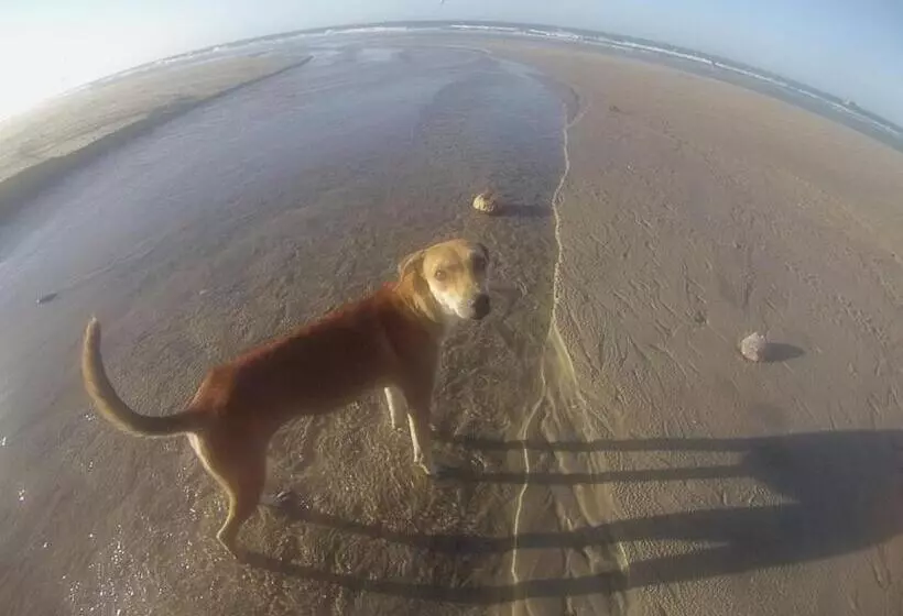 Retkeilymaja Pousada Brilho Da Lua