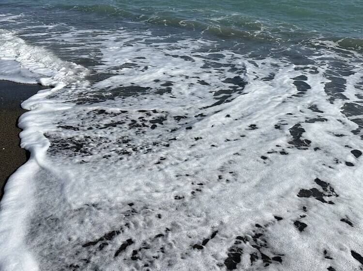 住宿加早餐 Datça House Butik Otel