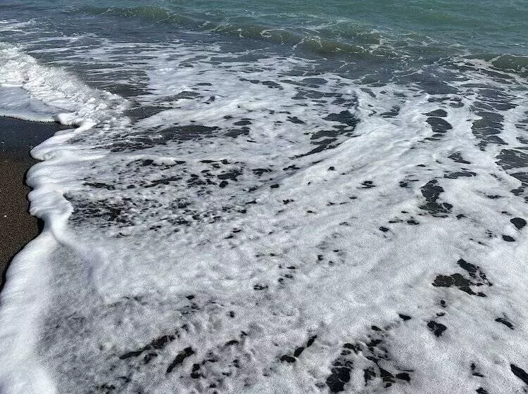 Aamiaismajoitus (B&B) Datça House Butik Otel