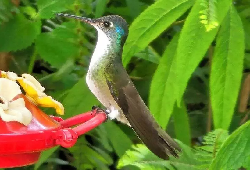 ホテル Boutique La Gloria